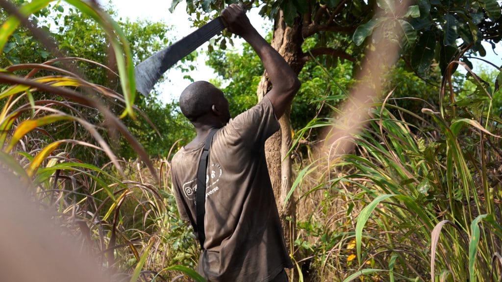 C4509.MP4.15 00 08 44.Still001