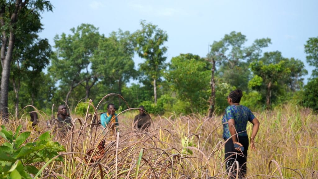 C4513.MP4.15 00 34 33.Still001