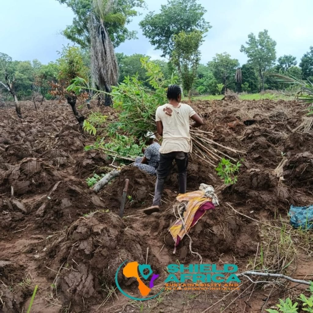 Image 10cdd22e 72a6 4d83 bbc3 4a2fba281437