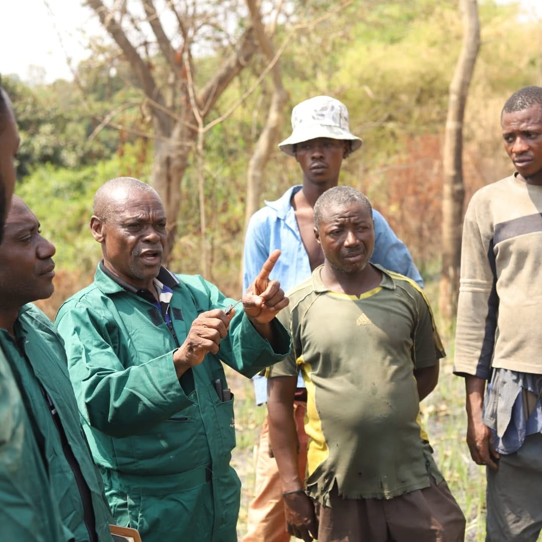 Image 1dda9d4c 2b38 411c 9f58 2bc69c6c1588