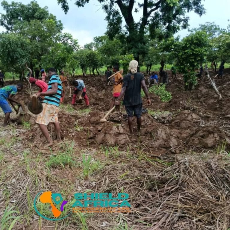 Image 3f466912 0b69 49cf a6d9 d0a433959287