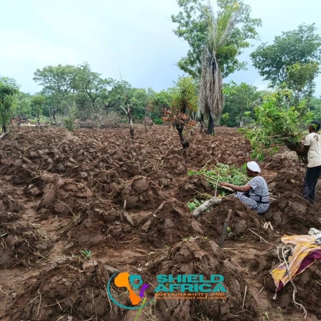 Image 4e57ce68 0f64 47a1 9243 ff1ae138dbac