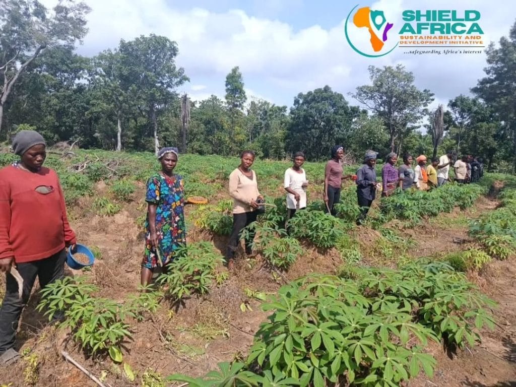 Image 7e2126ea 8098 40c5 835b d75c3816bdbb