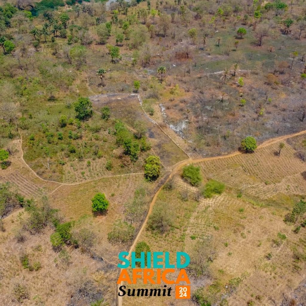 Image b6b3032d 9c8f 4342 9714 f09303557fd6